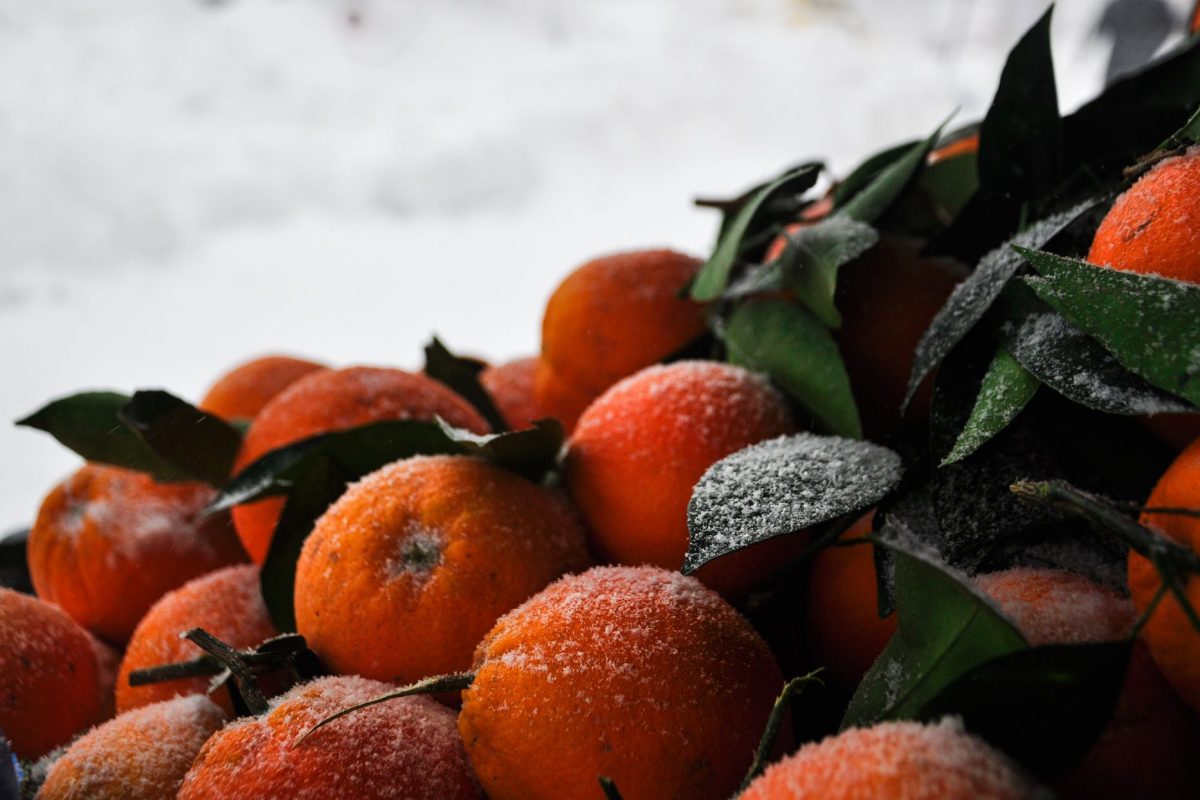 Quels aliments boostent votre énergie en hiver ?