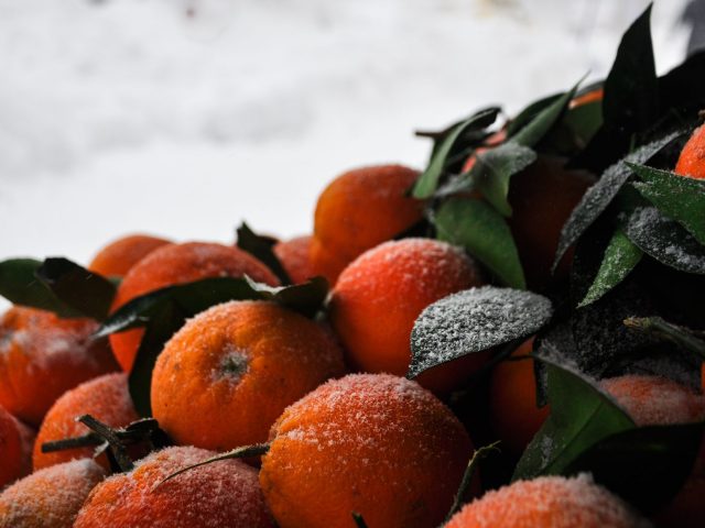 Quels aliments boostent votre énergie en hiver ?